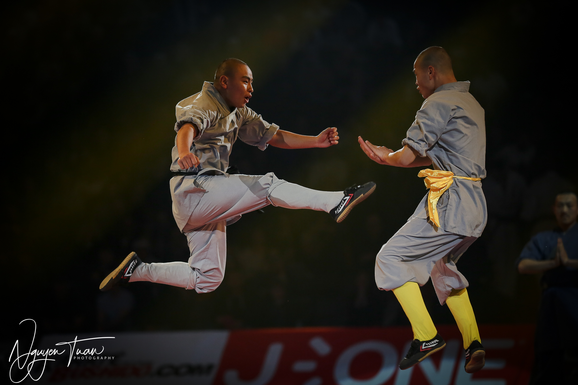 20190324 Festival des Arts Martiaux 5354